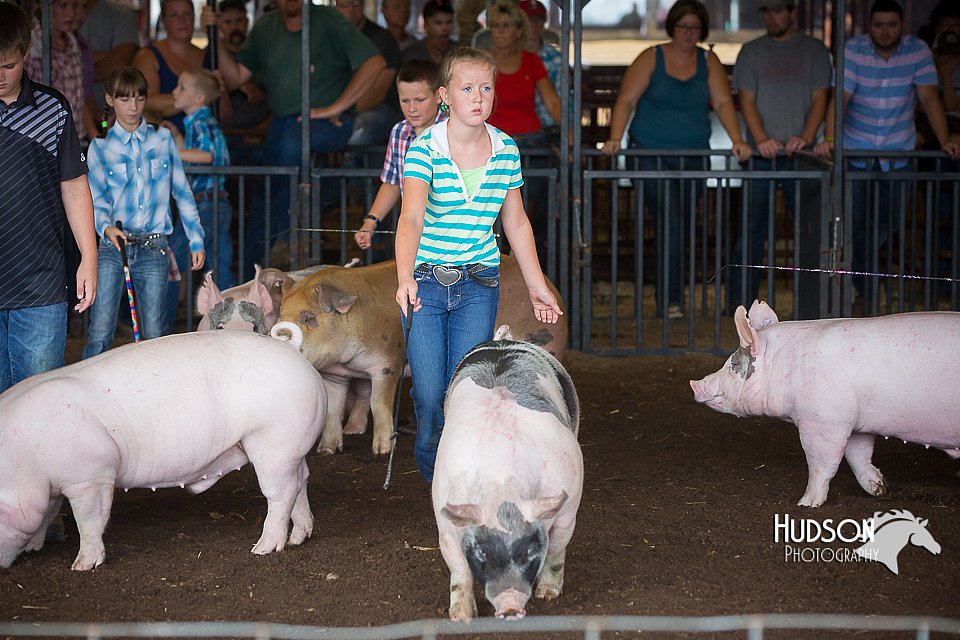 LCFAIR15-2314.jpg