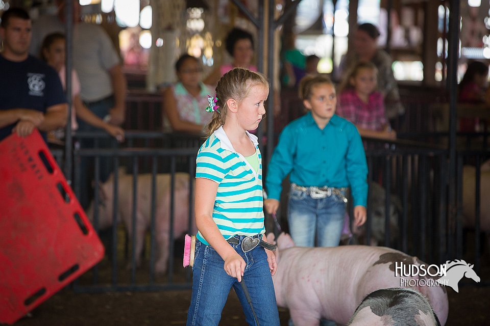 LCFAIR15-2317.jpg
