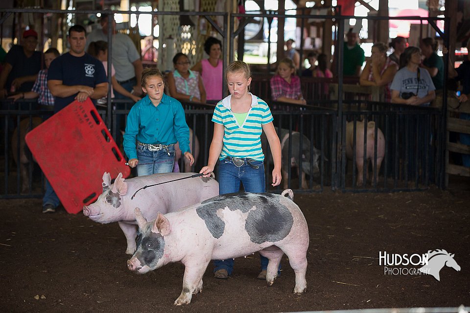 LCFAIR15-2320.jpg