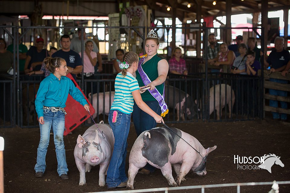 LCFAIR15-2323.jpg