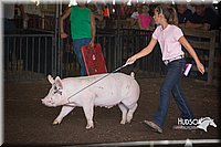 LCFAIR15-2295.jpg