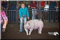 LCFAIR15-2302.jpg
