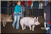 LCFAIR15-2303.jpg