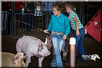 LCFAIR15-2307.jpg