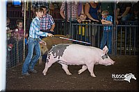 LCFAIR15-2308.jpg