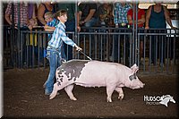 LCFAIR15-2309.jpg
