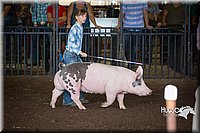 LCFAIR15-2310.jpg