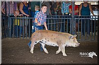 LCFAIR15-2311.jpg
