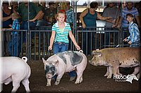 LCFAIR15-2312.jpg