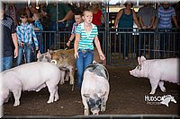 LCFAIR15-2314.jpg