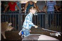 LCFAIR15-2316.jpg