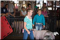 LCFAIR15-2317.jpg