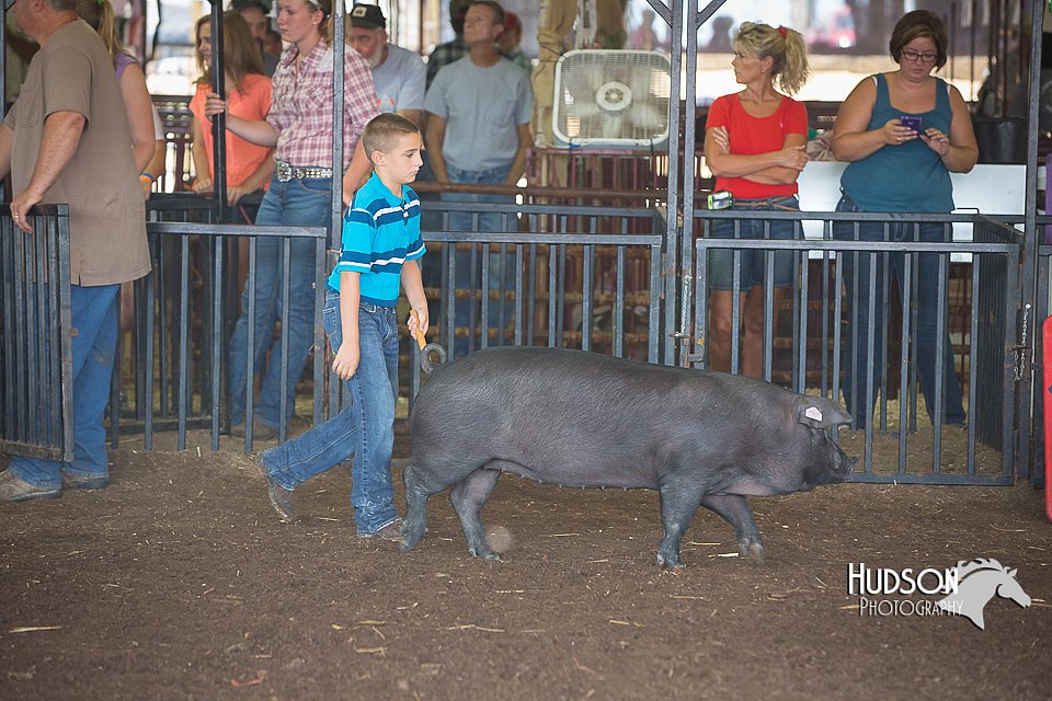 LCFAIR15-2326.jpg