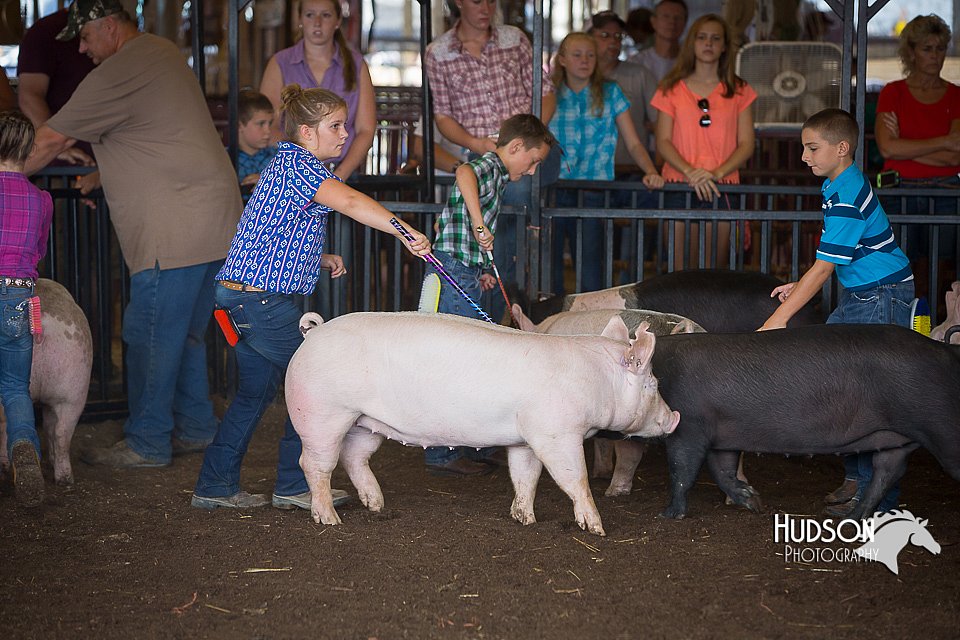LCFAIR15-2332.jpg