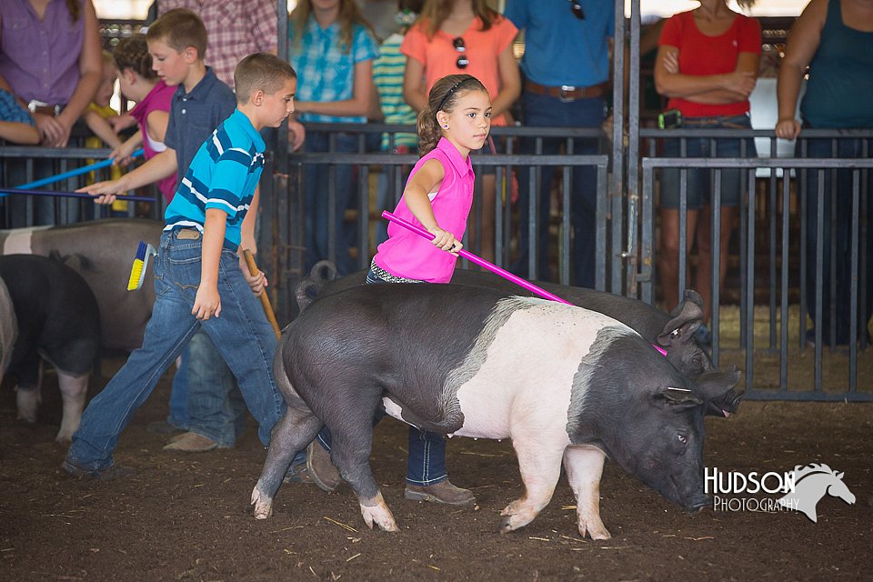 LCFAIR15-2338.jpg