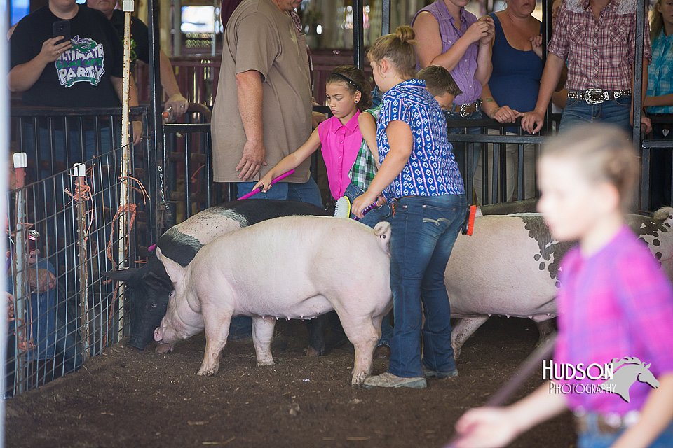 LCFAIR15-2342.jpg