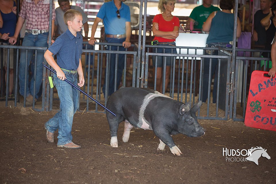 LCFAIR15-2344.jpg