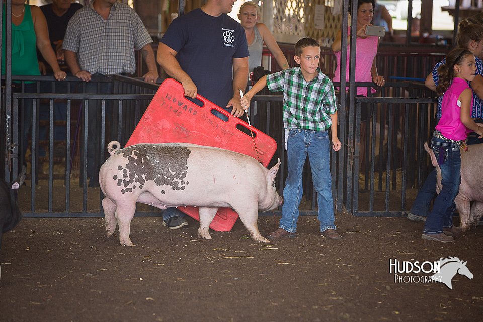 LCFAIR15-2345.jpg