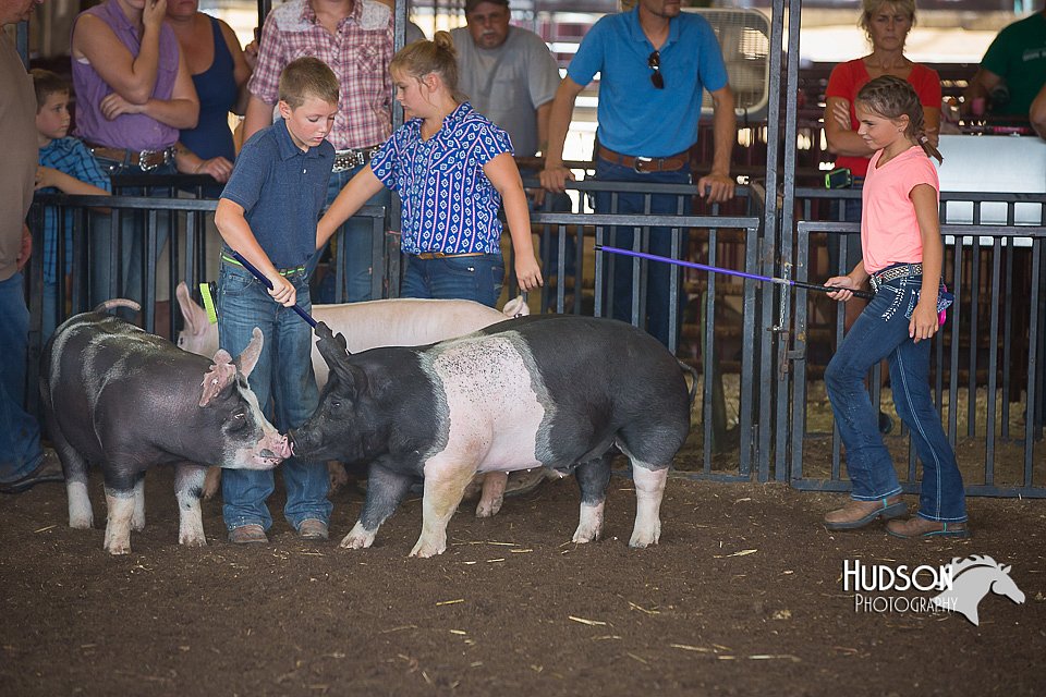 LCFAIR15-2348.jpg