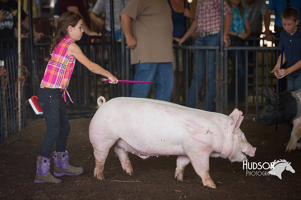 LCFAIR15-2351.jpg