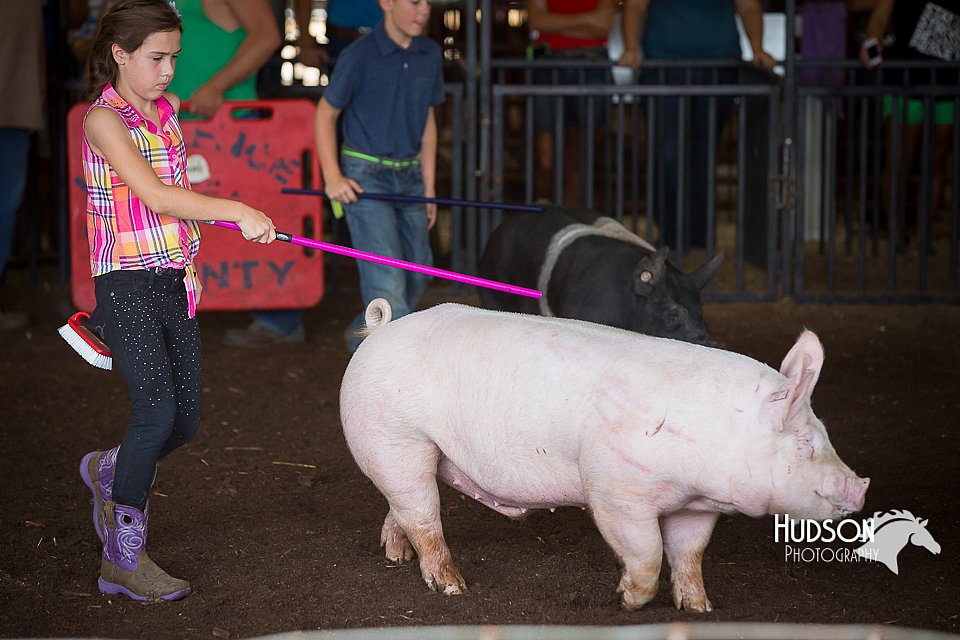 LCFAIR15-2353.jpg