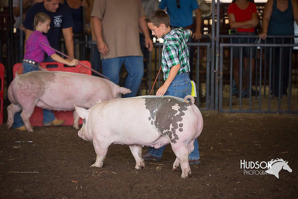 LCFAIR15-2354.jpg