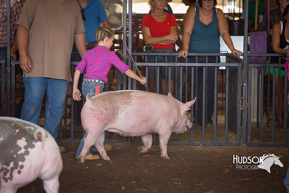 LCFAIR15-2355.jpg