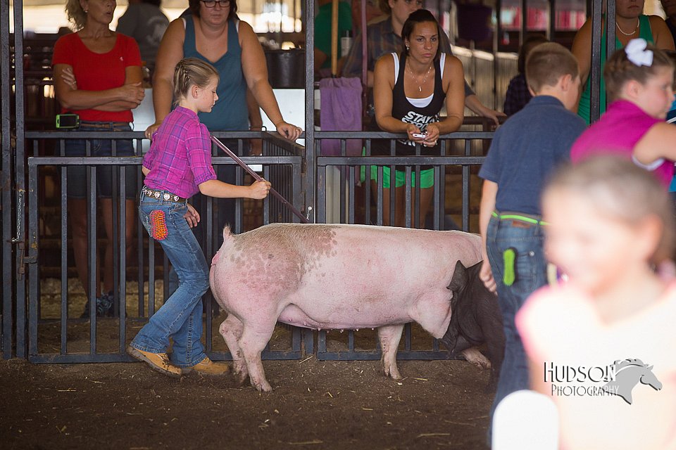 LCFAIR15-2356.jpg