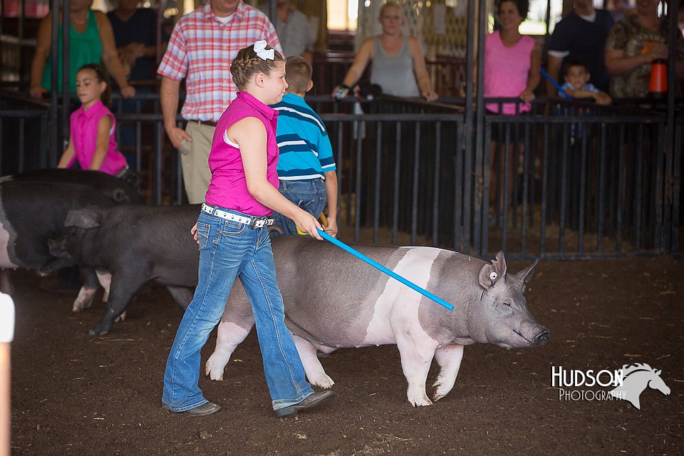 LCFAIR15-2357.jpg