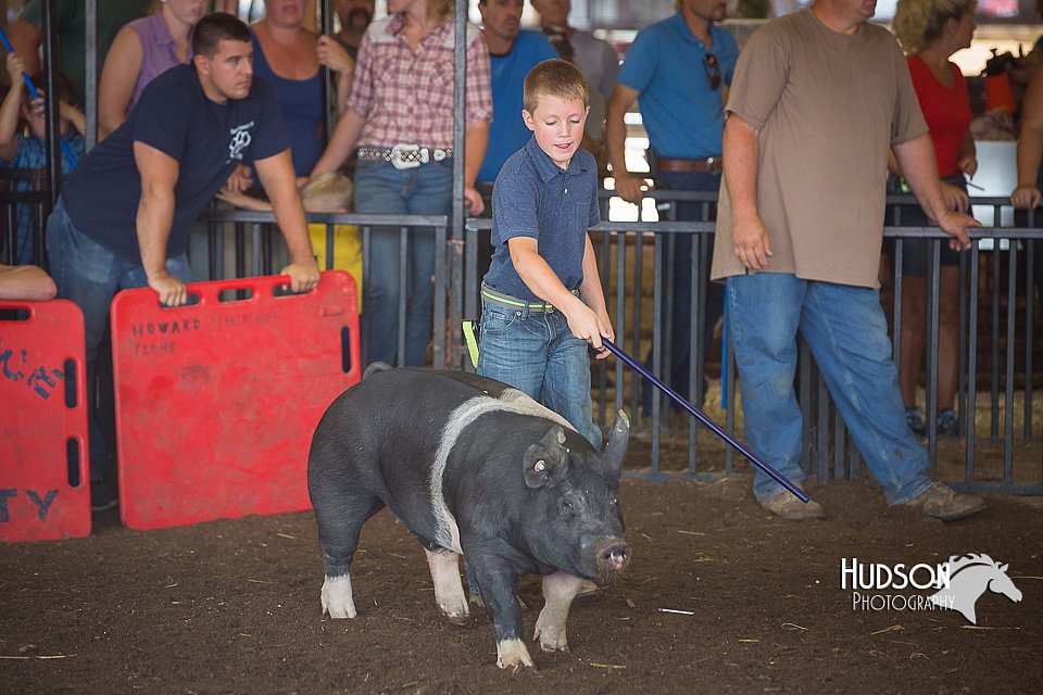 LCFAIR15-2366.jpg