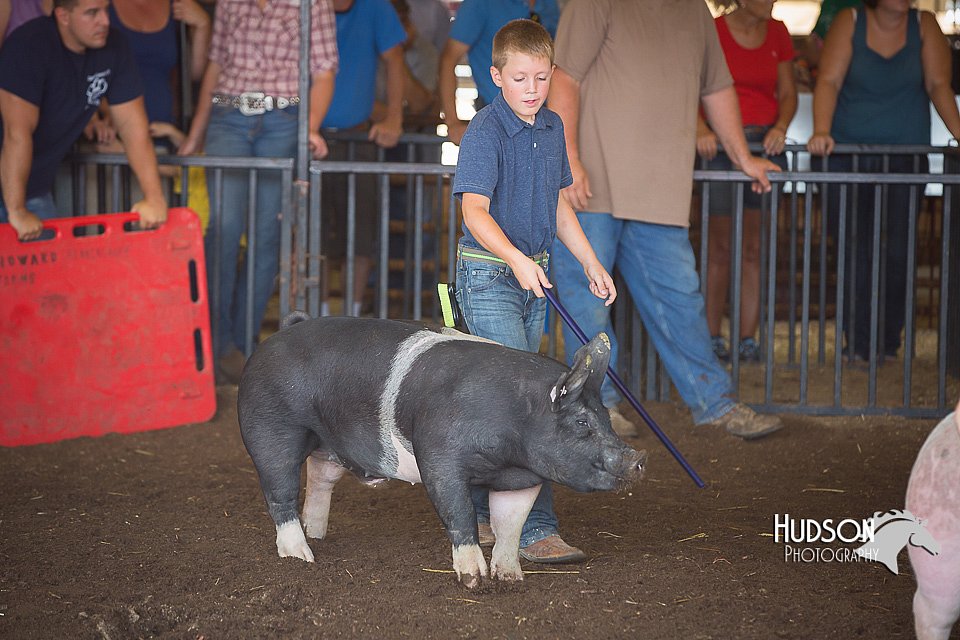LCFAIR15-2367.jpg