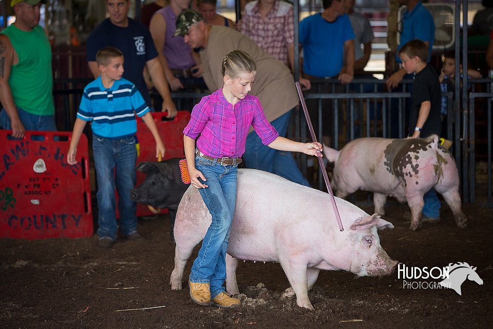 LCFAIR15-2369.jpg