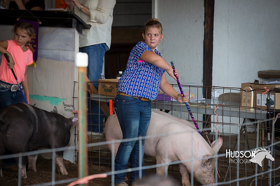 LCFAIR15-2371.jpg