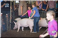 LCFAIR15-2342.jpg