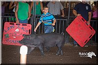LCFAIR15-2349.jpg