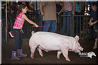 LCFAIR15-2351.jpg