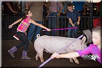 LCFAIR15-2352.jpg