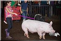 LCFAIR15-2353.jpg