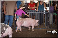 LCFAIR15-2355.jpg