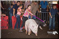 LCFAIR15-2359.jpg