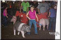 LCFAIR15-2360.jpg