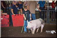LCFAIR15-2361.jpg