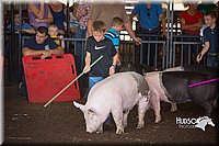 LCFAIR15-2364.jpg