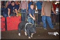 LCFAIR15-2366.jpg