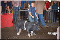 LCFAIR15-2367.jpg