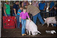 LCFAIR15-2368.jpg