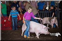 LCFAIR15-2369.jpg