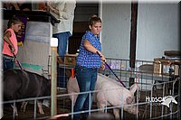 LCFAIR15-2370.jpg