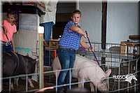 LCFAIR15-2371.jpg