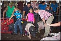 LCFAIR15-2374.jpg